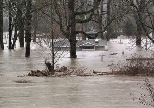 Emergency Preparedness for Floods